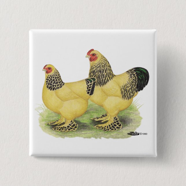 Brahma Buff Pair 15 Cm Square Badge (Front)