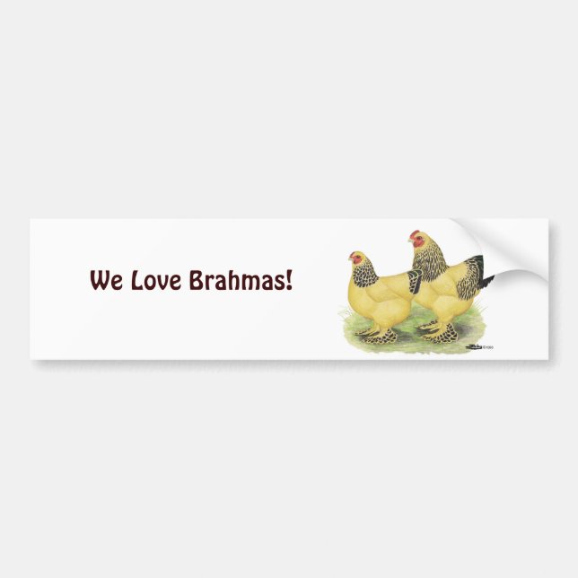 Brahma Buff Pair Bumper Sticker (Front)