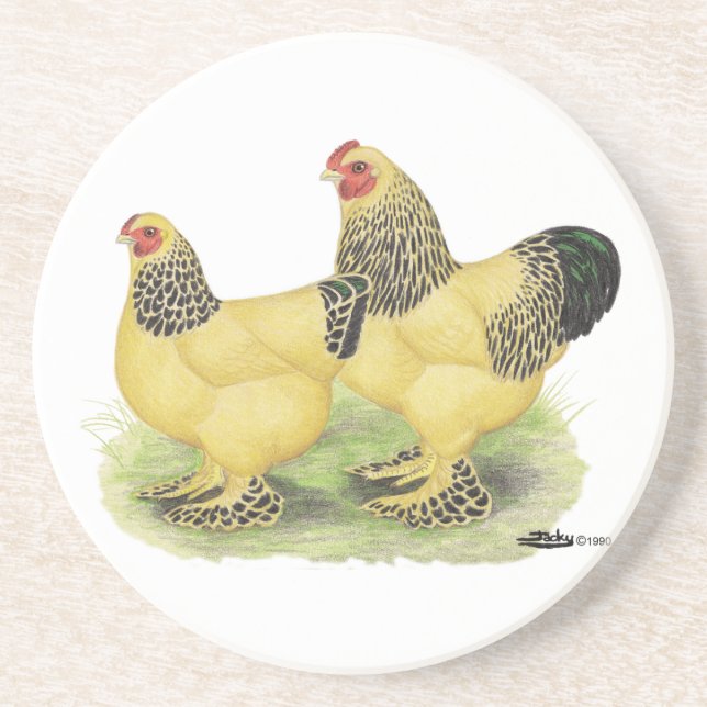 Brahma Buff Pair Coaster (Front)