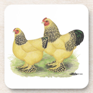 Brahma Buff Pair Coaster