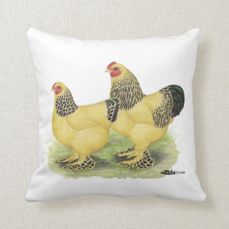 Brahma Buff Pair Cushion
