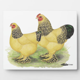 Brahma Buff Pair Plaque