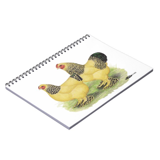 Brahma Buff Pair Spiral Notebook (Left Side)
