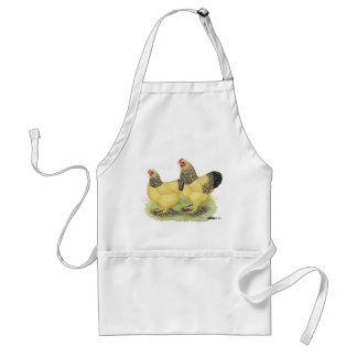 Brahma Buff Pair Standard Apron