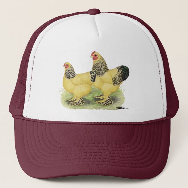 Brahma Buff Pair Trucker Hat (Front)