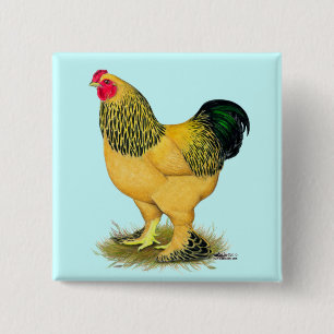 Brahma:  Buff Rooster 15 Cm Square Badge