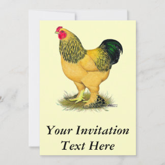 Brahma:  Buff Rooster Invitation
