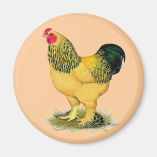 Brahma:  Buff Rooster Magnet