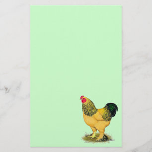Brahma: Buff Rooster Stationery