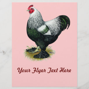 Brahma:  Dark Rooster Flyer