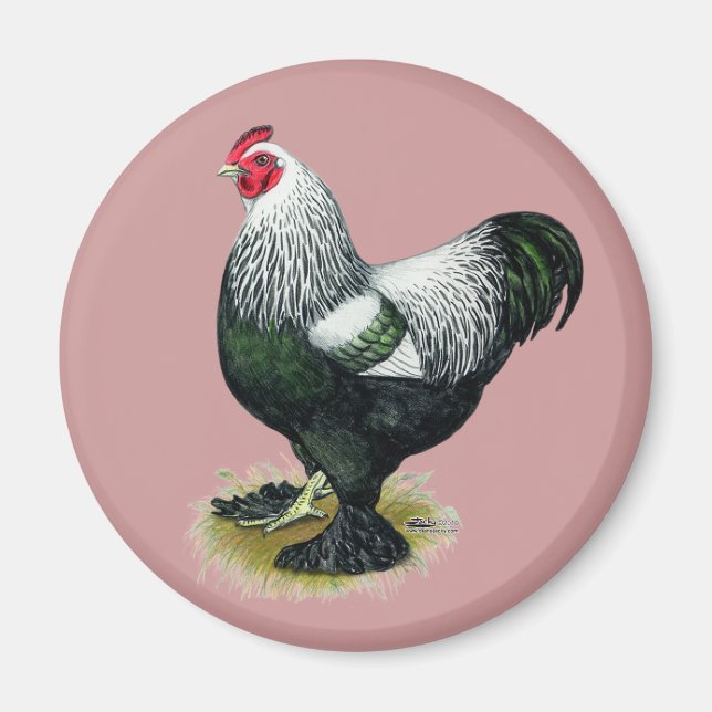 Brahma:  Dark Rooster Magnet (Front)