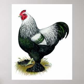 Brahma: Dark Rooster Poster