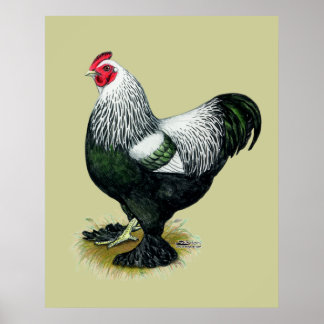 Brahma: Dark Rooster Poster