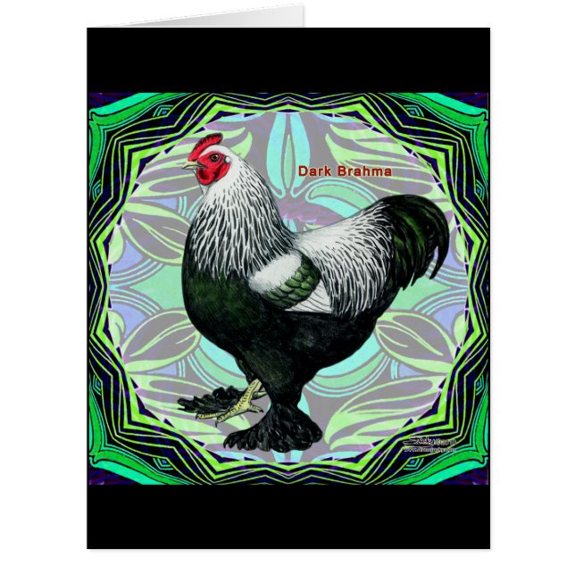 Brahma:  Fancy Dark Rooster (Front)