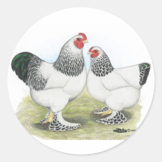 Brahma:  Light2 Classic Round Sticker