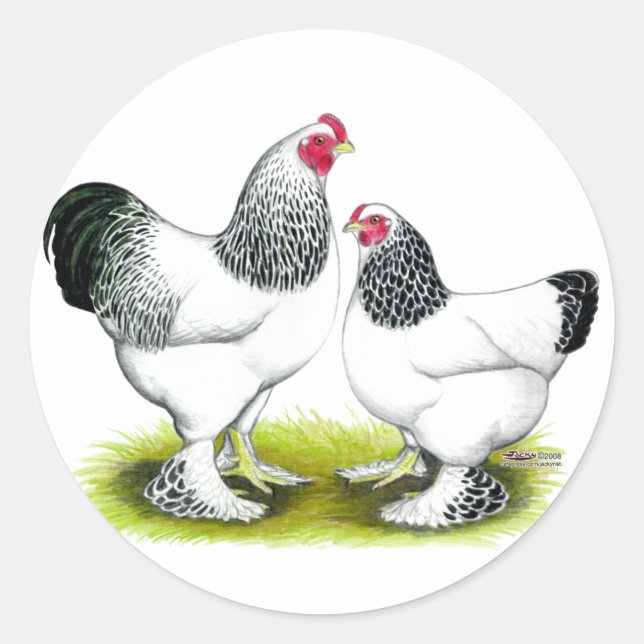 Brahma:  Light Classic Round Sticker (Front)