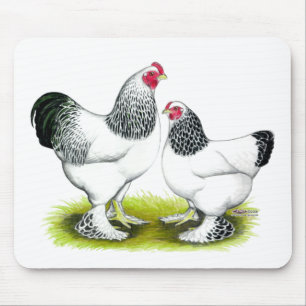 Brahma:  Light Mouse Pad