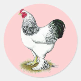 Brahma:  Light Rooster Classic Round Sticker
