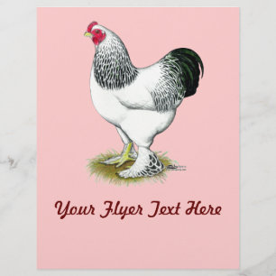 Brahma:  Light Rooster Flyer