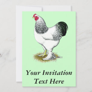 Brahma: Light Rooster Invitation