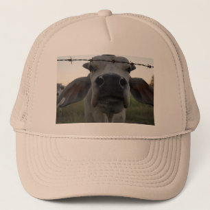 BRAHMAN BULL IN RURAL AUSTRALIA TRUCKER HAT