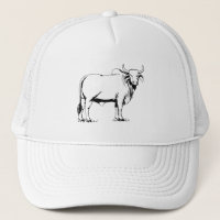 Brahman Cow