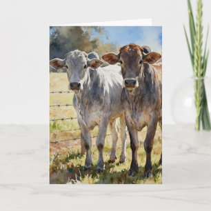 Brahman Heifers In Watercolors Card