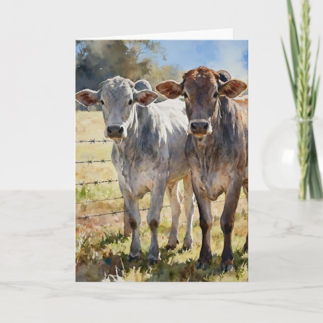Brahman Heifers In Watercolors Card (Front)