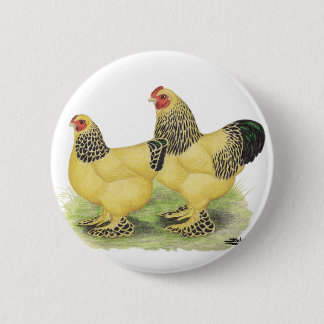 Brahmas: Buff Bantams 6 Cm Round Badge