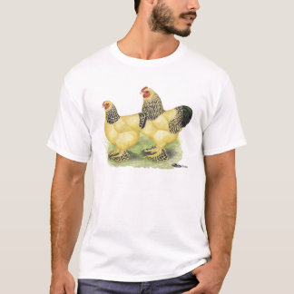 Brahmas: Buff Bantams T-Shirt