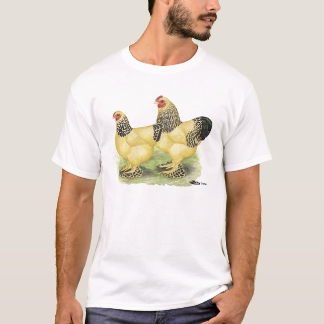 Brahmas:  Buff Bantams T-Shirt (Front)