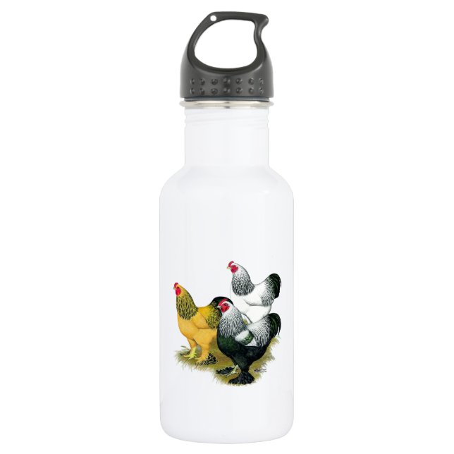 Brahmas Three Roosters 532 Ml Water Bottle (Front)