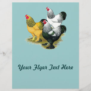 Brahmas Three Roosters Flyer