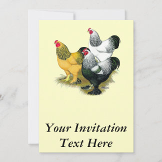 Brahmas Three Roosters Invitation