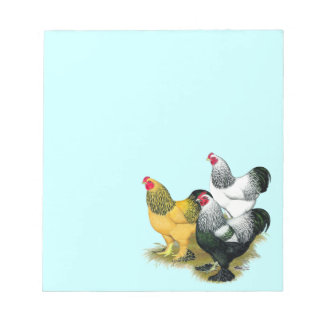 Brahmas Three Roosters Notepad