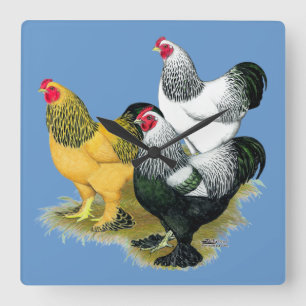 Brahmas Three Roosters Square Wall Clock