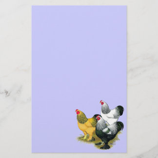 Brahmas Three Roosters Stationery
