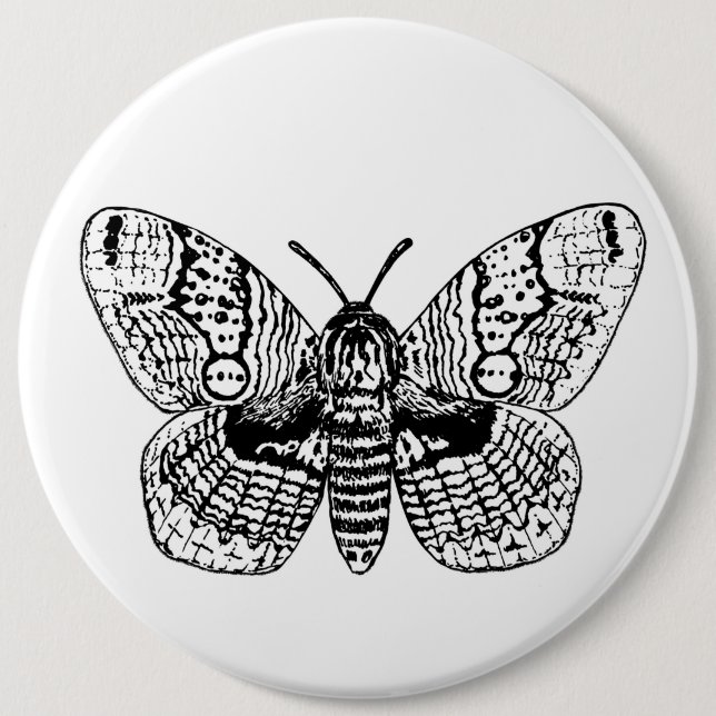Brahmin moth drawing 6 cm round badge (Front)