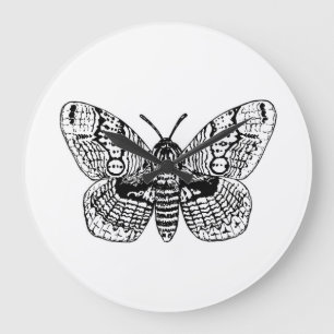 Brahmin moth drawing large clock