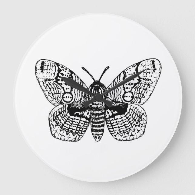 Brahmin moth drawing large clock (Front)