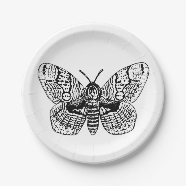 Brahmin moth drawing paper plate (Front)