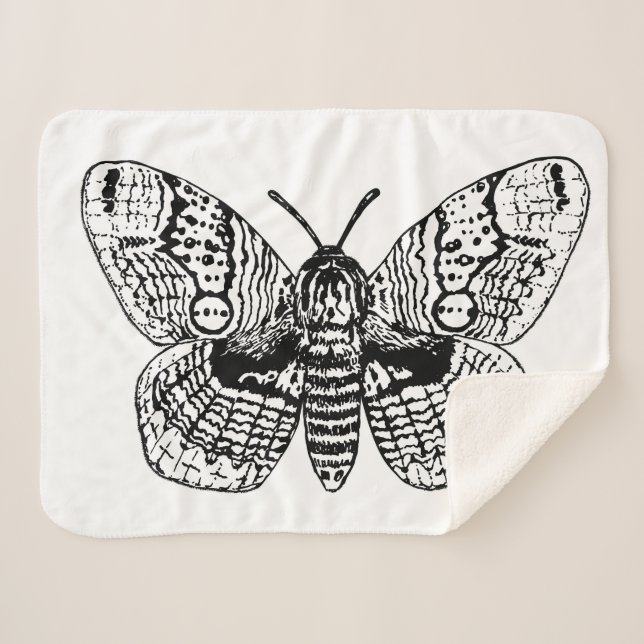 Brahmin moth drawing sherpa blanket (Front (Horizontal))
