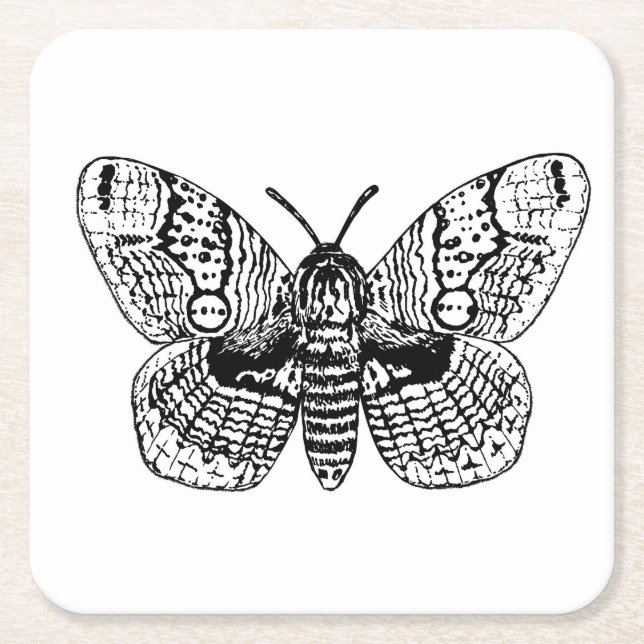 Brahmin moth drawing square paper coaster (Front)