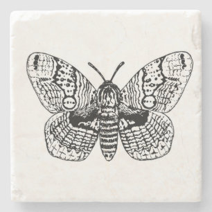 Brahmin moth drawing stone coaster
