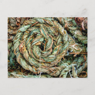 Braided dried sorrel leaves Postcard