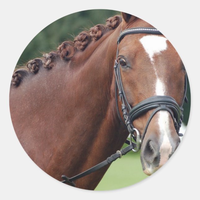 Braided Horse Mane Stickers (Front)