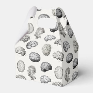 Brain Anatomy Biology Illustrations Favour Box