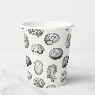 Brain Anatomy Biology Illustrations Paper Cups