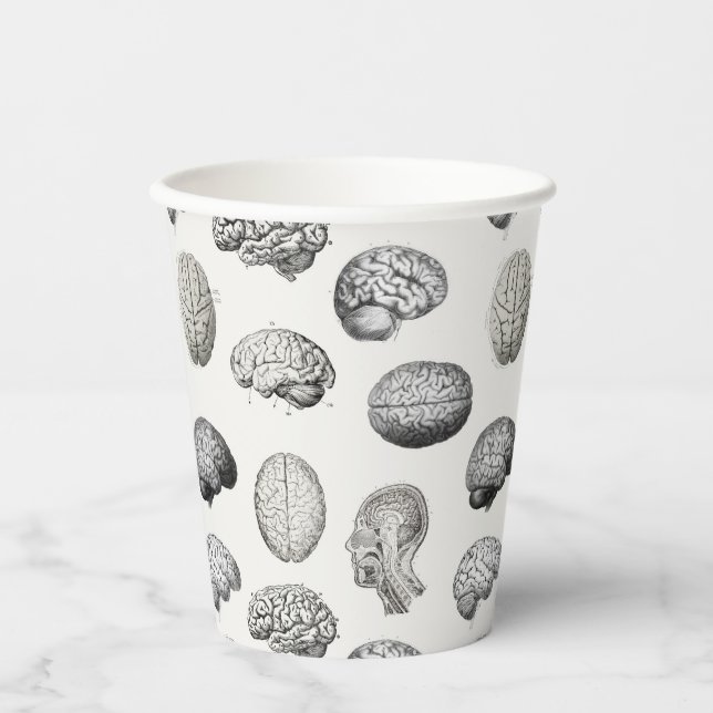 Brain Anatomy Biology Illustrations Paper Cups (Front)