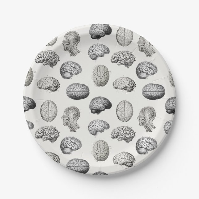 Brain Anatomy Biology Illustrations Paper Plate (Front)